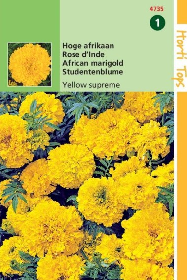 African Marigold Yellow Supreme (Tagetes erecta) 300 seeds